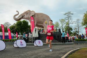 BIB: 
                            <button type="button" onclick="openModal(26529080)" class="btn btn-primary btn-sm float-right btn-popup" data-toggle="modal" data-target=".modal-high-quality">
                        <i class="fas fa-shopping-cart"></i> Add to Cart
                    </button>
                                            <button type="button" onclick="isThisMe(26529080, true)" class="btn btn-success btn-sm float-right btn-popup btn-isme hidden" data-toggle="tooltip" data-placement="bottom" title="นี่คือรูปของคุณใช่ไหม คลิกที่นี่เพื่อเอาเข้าอัลบั้ม">
                        <i class="fas fa-plus"></i> Add to album
                    </button>
                    <button type="button" onclick="isThisMe(26529080, false)" class="btn btn-warning btn-sm float-right btn-popup btn-isnotme hidden">
                        <i class="fas fa-ban"></i> Remove from album
                    </button>